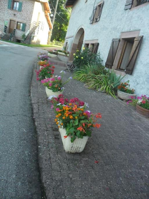 Gite La Fermette A Docelles Exterior photo