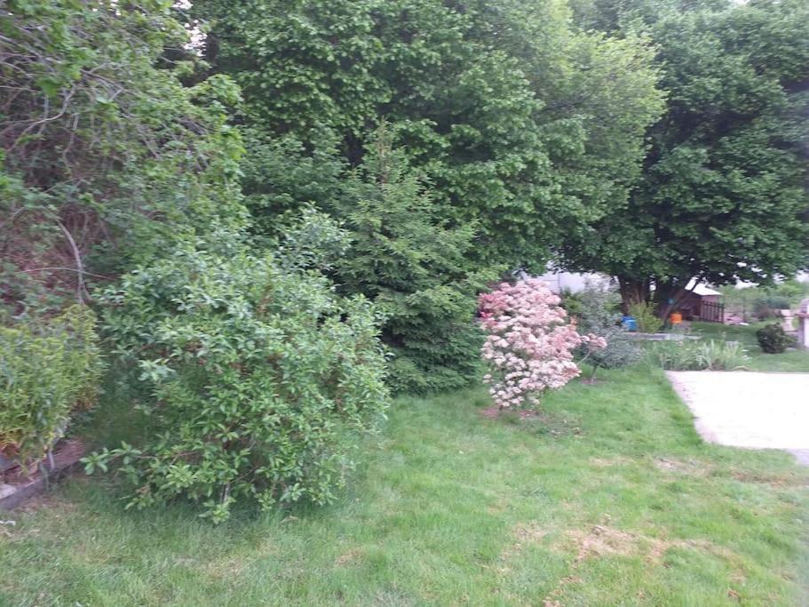 Gite La Fermette A Docelles Exterior photo